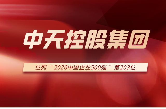 Ebpay集团列2020中国企业500强第203位！